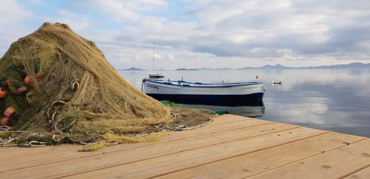 FB_IMG_1573237969927