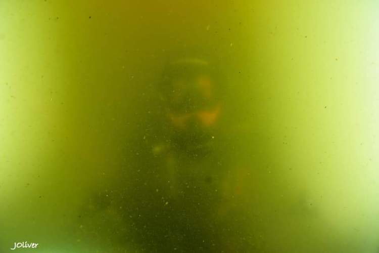 FB_IMG_1573247690267