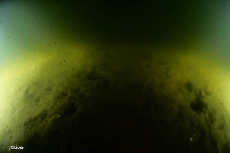 FB_IMG_1573247692751