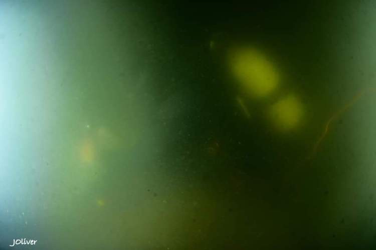 FB_IMG_1573247695457