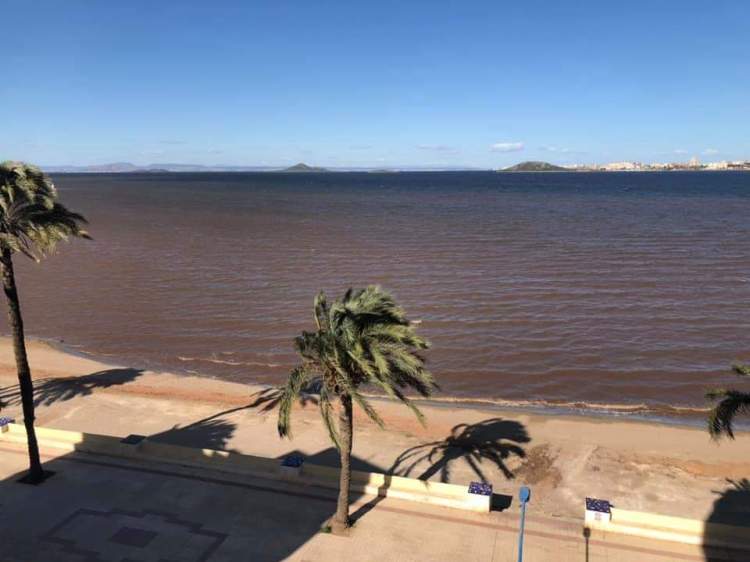 FB_IMG_1573248036933