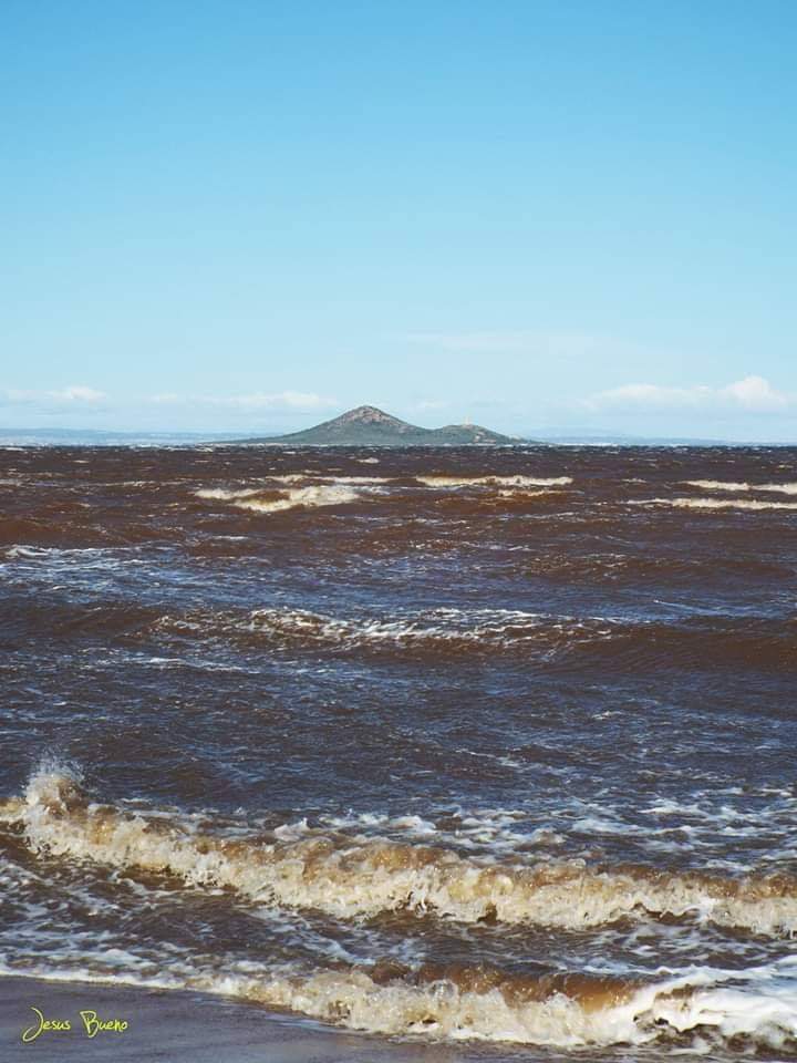 FB_IMG_1573670971226